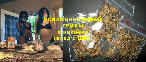 амф Карпинск