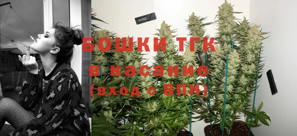 амф Карпинск