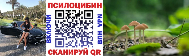 Галлюциногенные грибы Cubensis  Купить закладки  Коммунар 